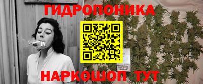 ALPHA PVP Кимры