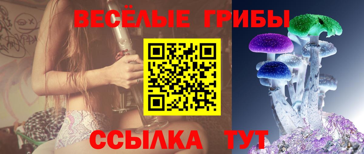 цены   Галлюциногенные грибы MAGIC MUSHROOMS  Вход с VPN  Чапаевск 